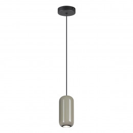 Светильник подвесной 5053/1D Odeon Light Черный