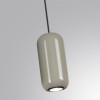 Светильник подвесной 5053/1D Odeon Light Черный