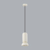 Светильник подвесной 5054/1E Odeon Light Черный