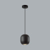 Светильник подвесной 5060/1BA Odeon Light Черный