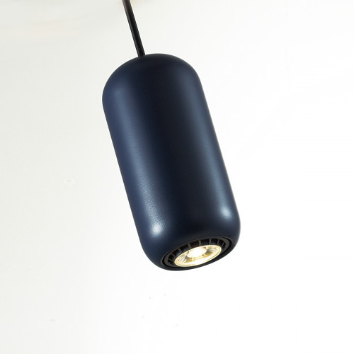Светильник подвесной 5060/1C Odeon Light Черный