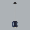 Светильник подвесной 5060/1CA Odeon Light Черный