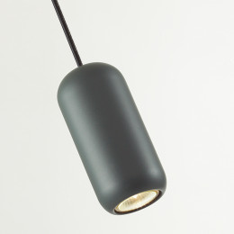 Светильник подвесной 5060/1E Odeon Light Черный