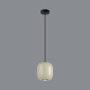Светильник подвесной 5060/1GA Odeon Light Черный