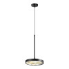 Светильник подвесной 5064/15L Odeon Light Черный