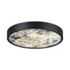 Светильник настенный 5064/30L Odeon Light Черный