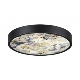Светильник настенный 5064/30L Odeon Light Черный