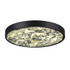 Светильник настенный 5064/40L Odeon Light Черный