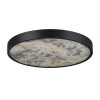 Светильник настенный 5064/40L Odeon Light Черный