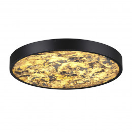 Светильник настенный 5064/40L Odeon Light Черный