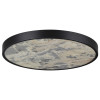 Светильник настенный 5064/50L Odeon Light Черный