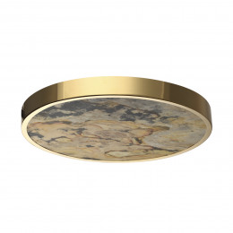 Светильник настенный 5079/40L Odeon Light Золотой