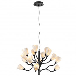 Люстра 5090/15 Odeon Light Черный