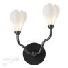 Светильник настенный 5090/2W Odeon Light Черный