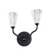 Светильник настенный 5090/2W Odeon Light Черный