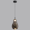 Светильник подвесной 5098/4LC Odeon Light Черный