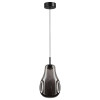 Светильник подвесной 5098/4LC Odeon Light Черный