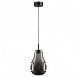 Светильник подвесной 5098/4LC Odeon Light Черный