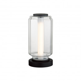 Лампа настольная 5409/10TL Odeon Light Exclusive Черный