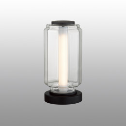 Лампа настольная 5409/10TL Odeon Light Exclusive Черный