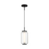 Светильник подвесной 5409/11L Odeon Light Exclusive Черный