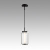 Светильник подвесной 5409/11L Odeon Light Exclusive Черный