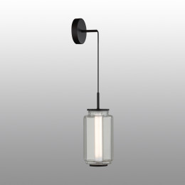 Светильник подвесной 5409/11L Odeon Light Exclusive Черный