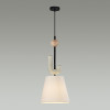 Светильник подвесной 5410/1 Odeon Light Exclusive Черный