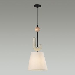 Светильник подвесной 5410/1 Odeon Light Exclusive Черный