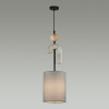 Светильник подвесной 5410/1A Odeon Light Exclusive Черный