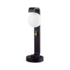 Светильник уличный 5434/1F Odeon Light Exclusive Черный