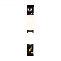 Светильник уличный 5434/2W Odeon Light Exclusive Черный