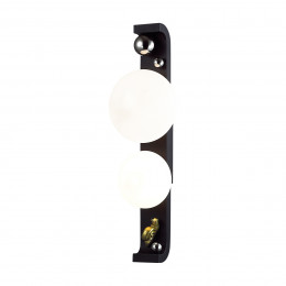 Светильник уличный 5434/2W Odeon Light Exclusive Черный