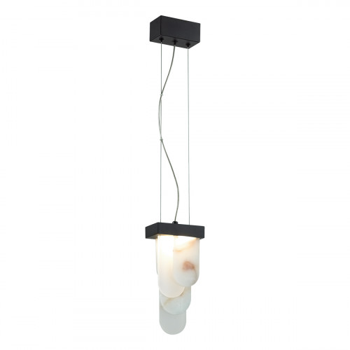 Светильник подвесной 5438/12L Odeon Light Exclusive Черный