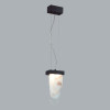 Светильник подвесной 5438/12L Odeon Light Exclusive Черный