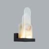 Светильник настенный 5438/12WL Odeon Light Exclusive Черный