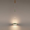 Светильник подвесной 5450/32LA Odeon Light Exclusive Латунь