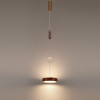 Светильник подвесной 5450/32LB Odeon Light Exclusive Латунь