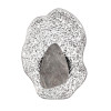 Светильник настенный 5461/12WLB Odeon Light Exclusive Черный