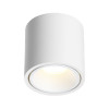 Светильник потолочный 6620/10CL Odeon Light Белый