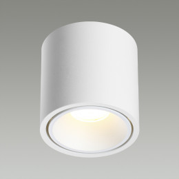 Светильник потолочный 6620/10CL Odeon Light Белый