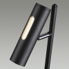 Торшер 6643/5FL Odeon Light Черный