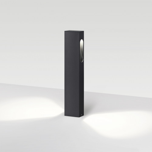 Светильник уличный 6658/14GL3 Odeon Light Черный