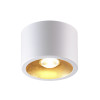 Светильник накладной 6668/1CL Odeon Light Белый
