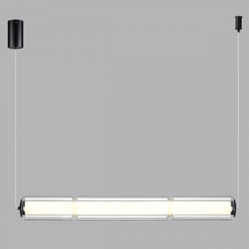 Светильник подвесной 6698/19L Odeon Light Черный