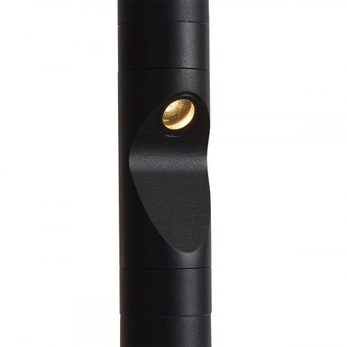 Светильник уличный 7021/9FL Odeon Light Черный