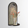 Светильник настенный 7176/3WL Odeon Light Exclusive Черный